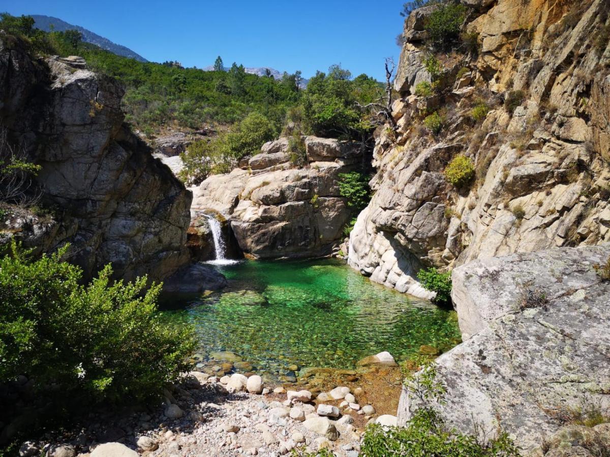 Un Petit Paradis Pinarellu エクステリア 写真