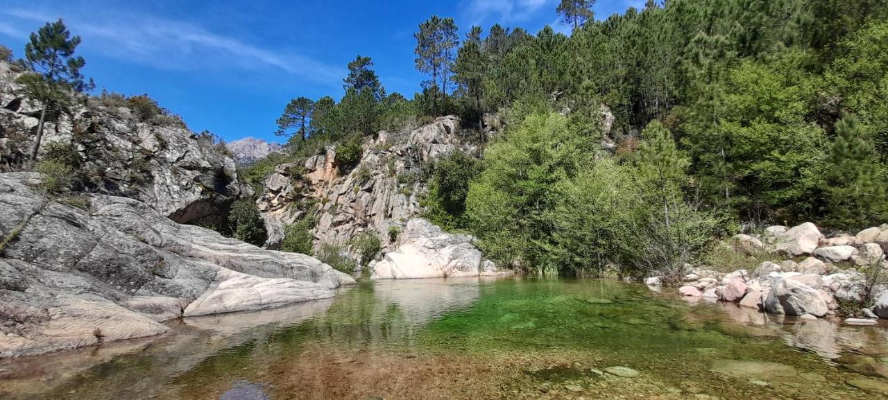 Un Petit Paradis Pinarellu エクステリア 写真